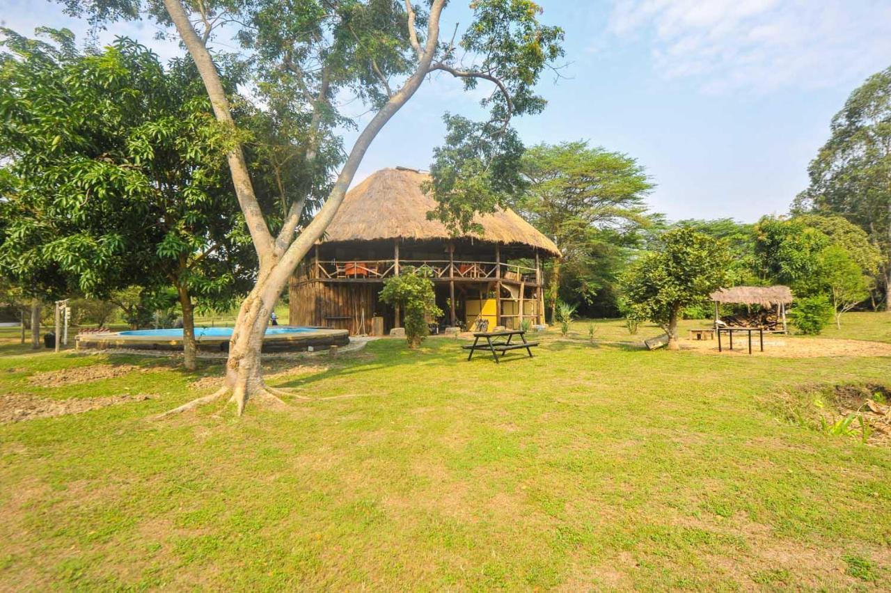 Bullbush River Camp Kihihi Bagian luar foto