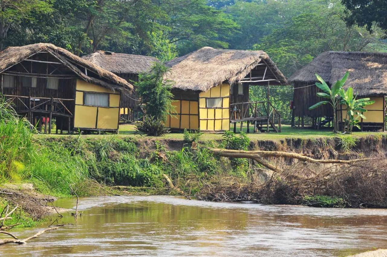 Bullbush River Camp Kihihi Bagian luar foto