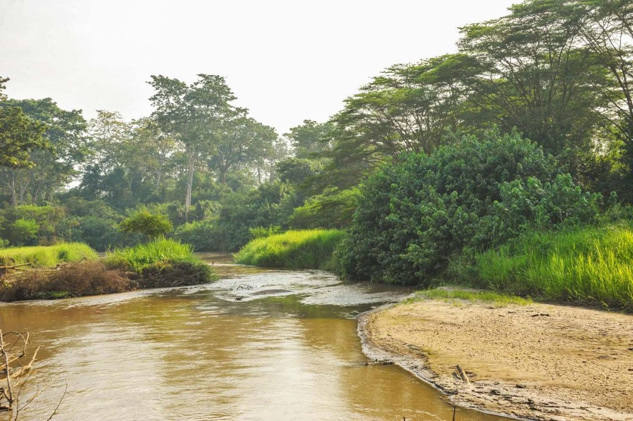 Bullbush River Camp Kihihi Bagian luar foto