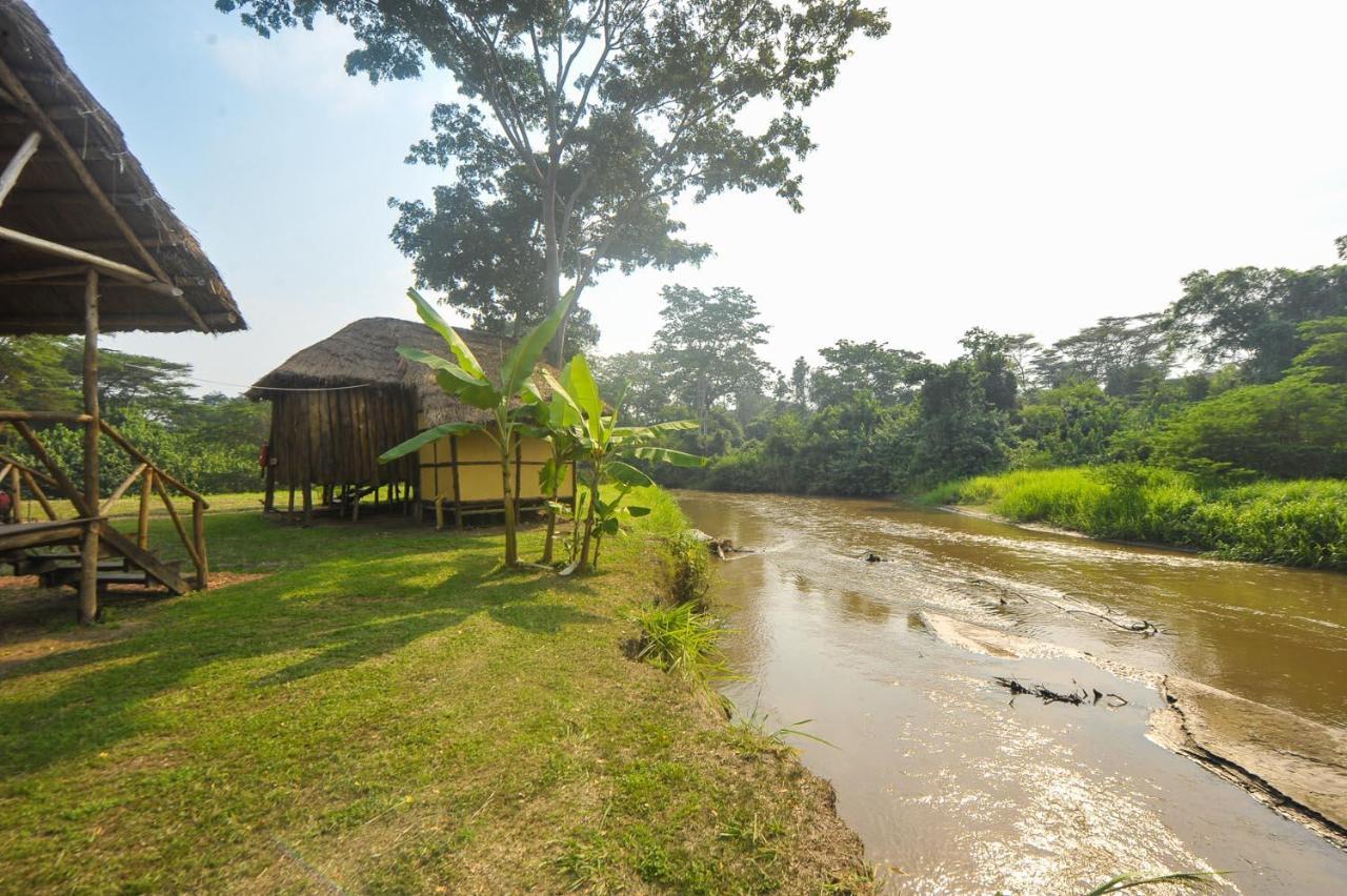 Bullbush River Camp Kihihi Bagian luar foto