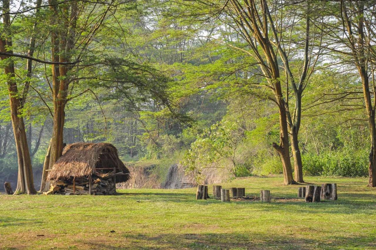 Bullbush River Camp Kihihi Bagian luar foto