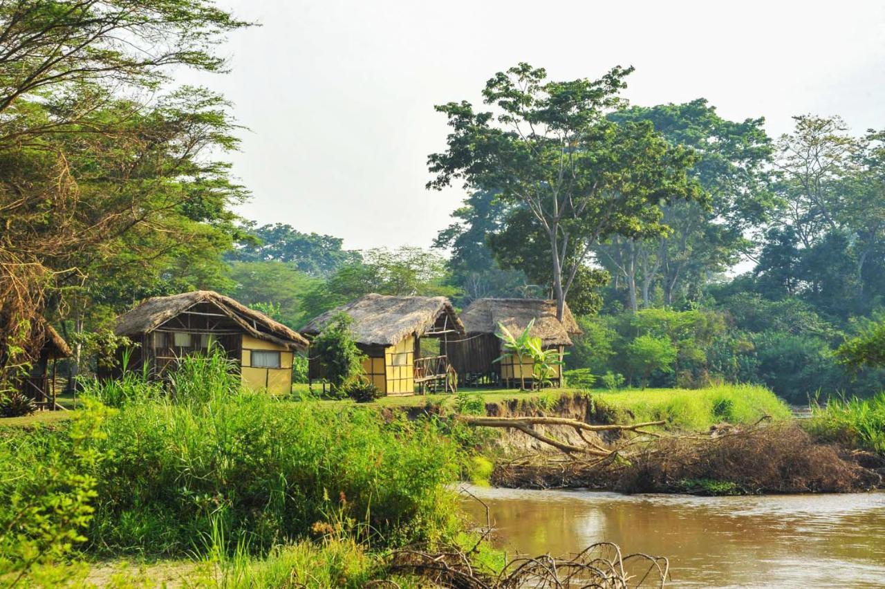 Bullbush River Camp Kihihi Bagian luar foto